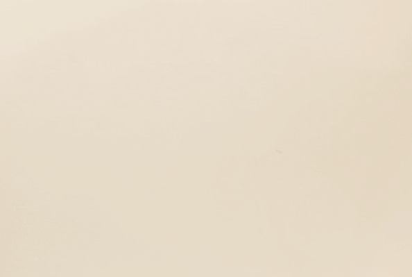 NP112-Antarctic White